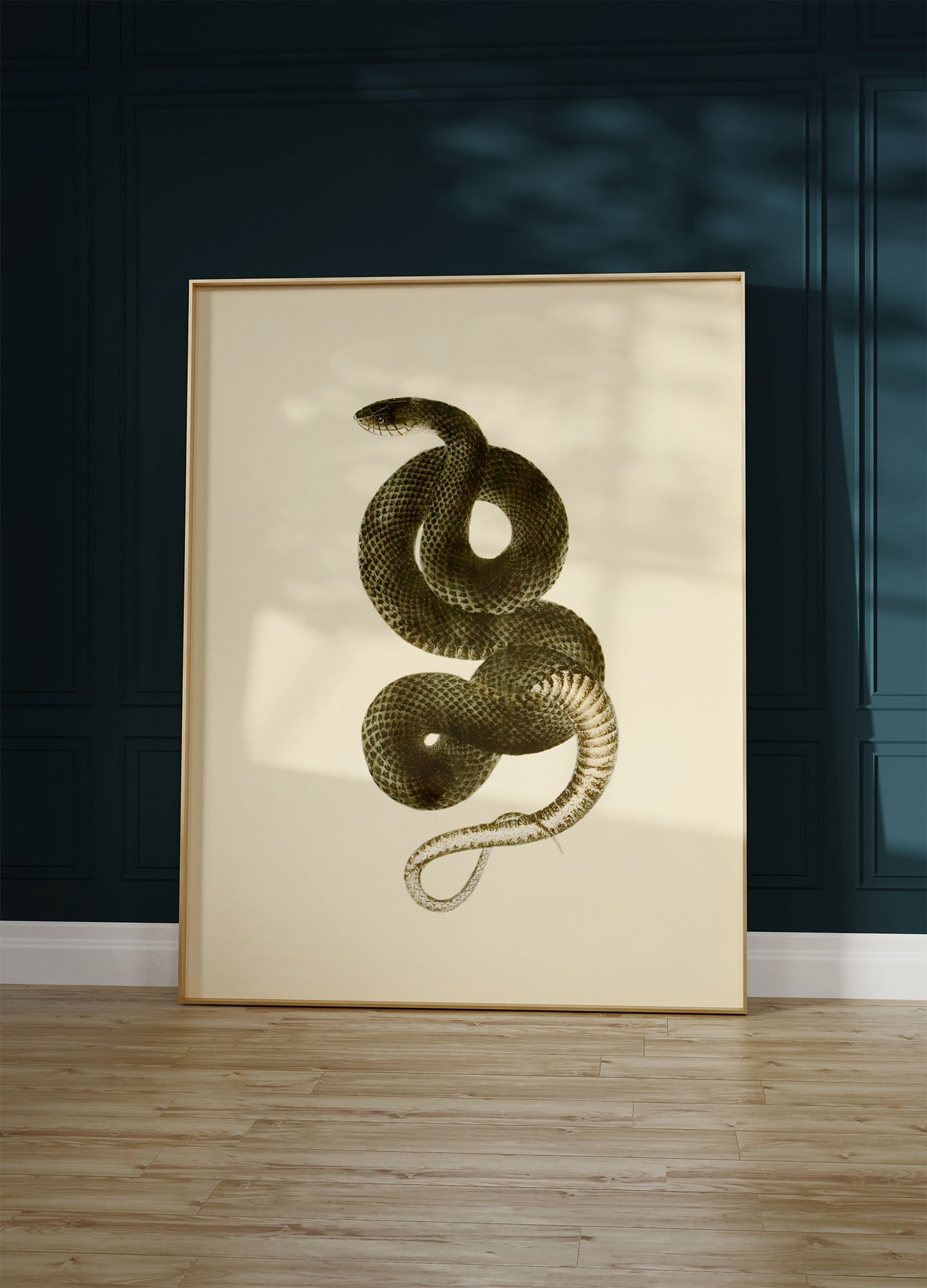 Grass Snake, 1836