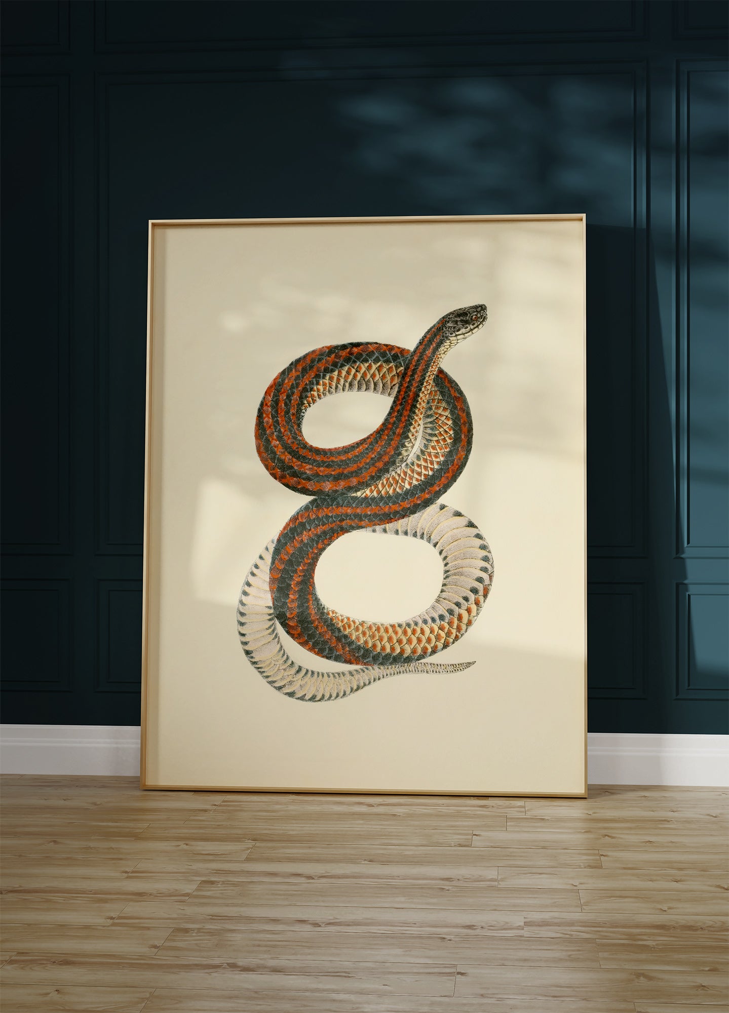 Rainbow Snake, 1836