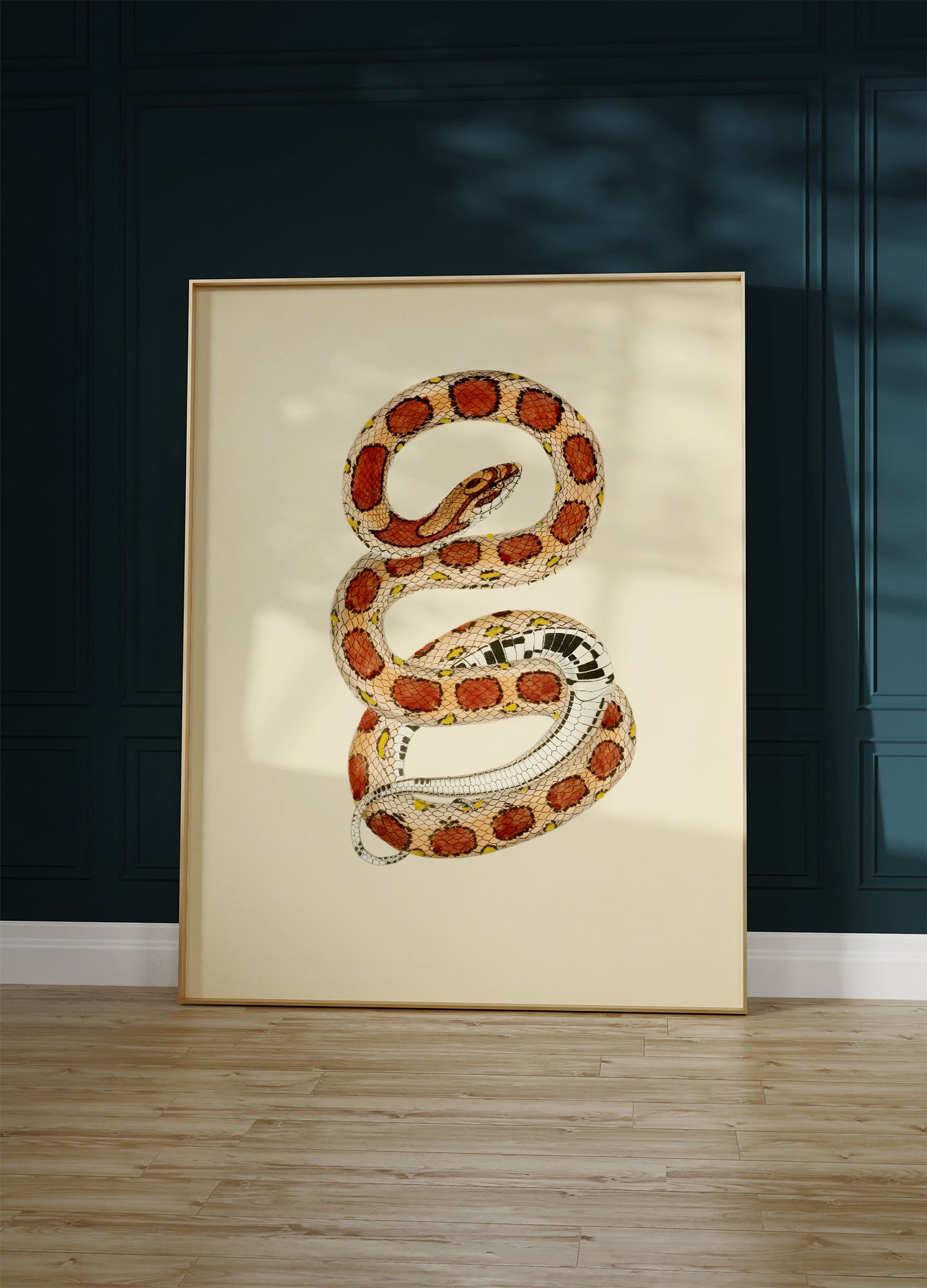 Corn Snake, 1836