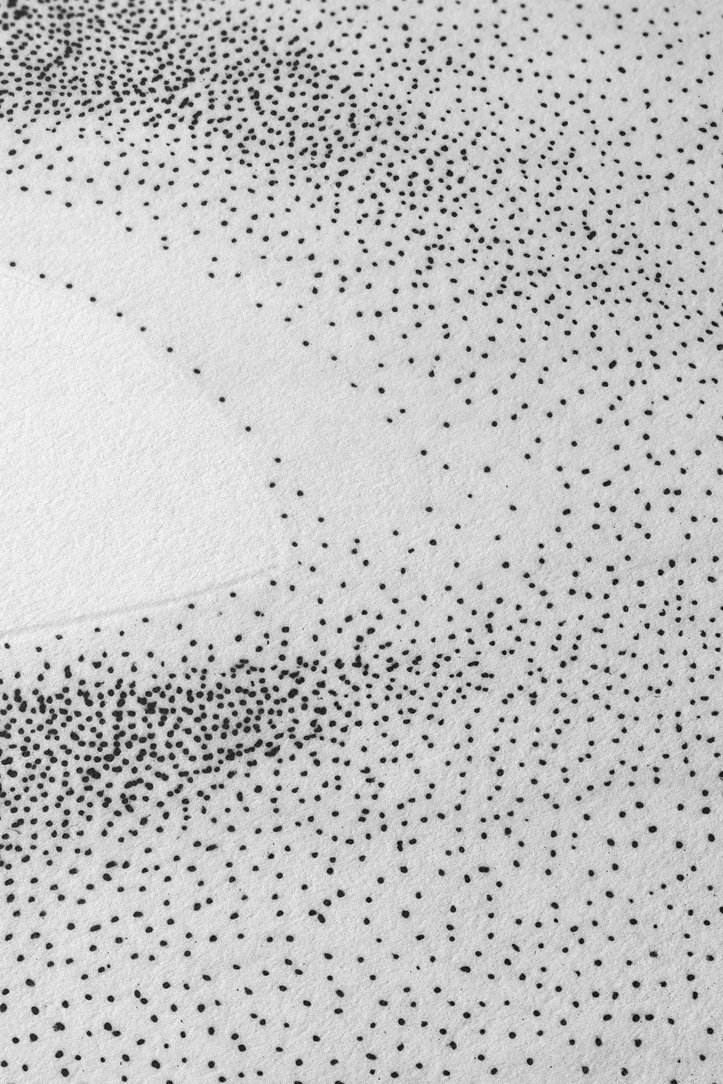 Black Hole, 1979 (white)