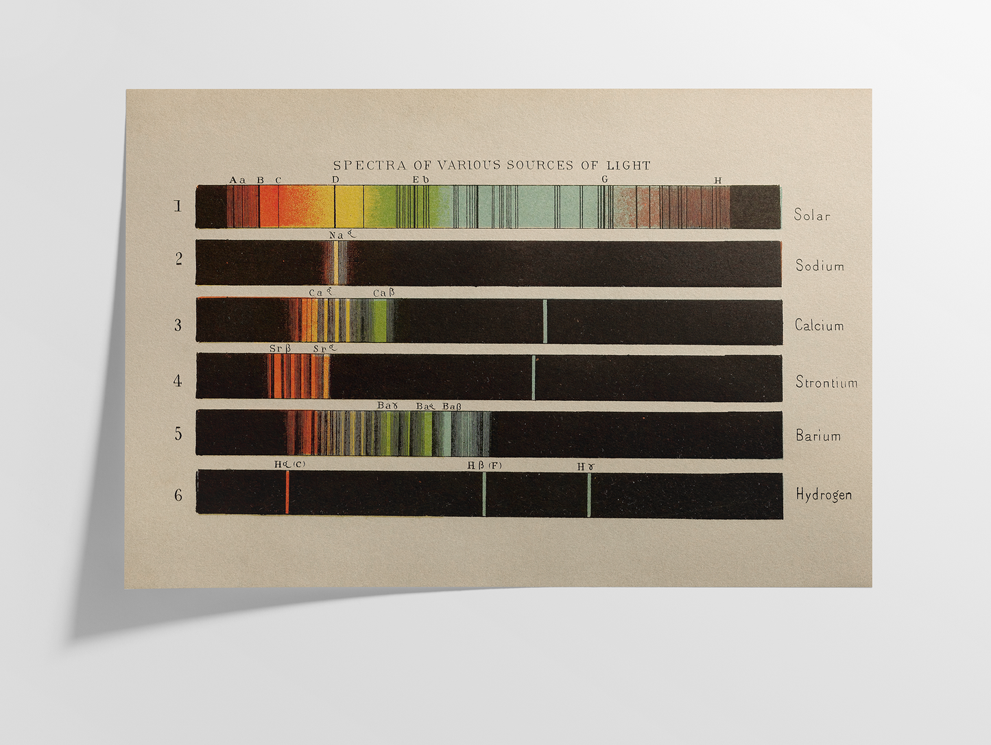 Spectra of Various Sources of Light, 1882