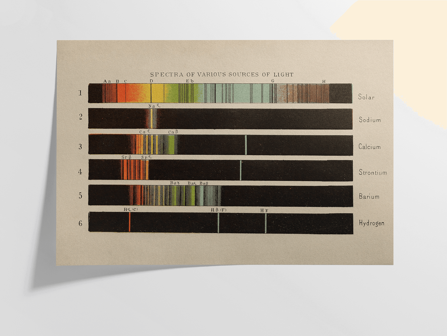 Spectra of Various Sources of Light, 1882