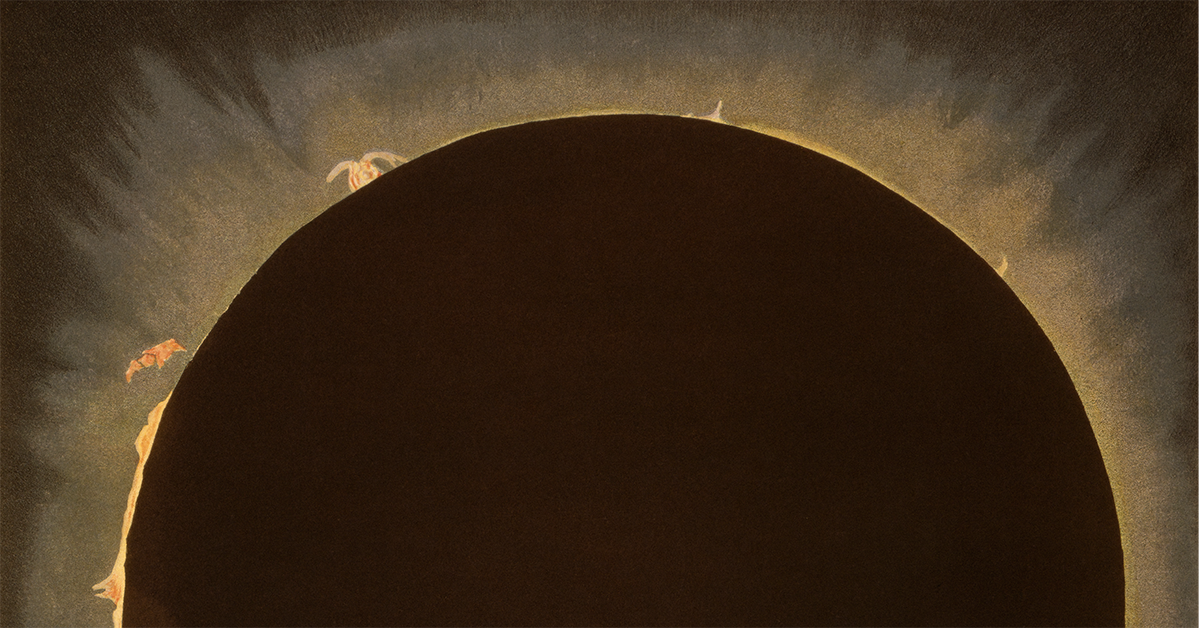 Curated selection of vintage astronomy prints and scientific illustrations