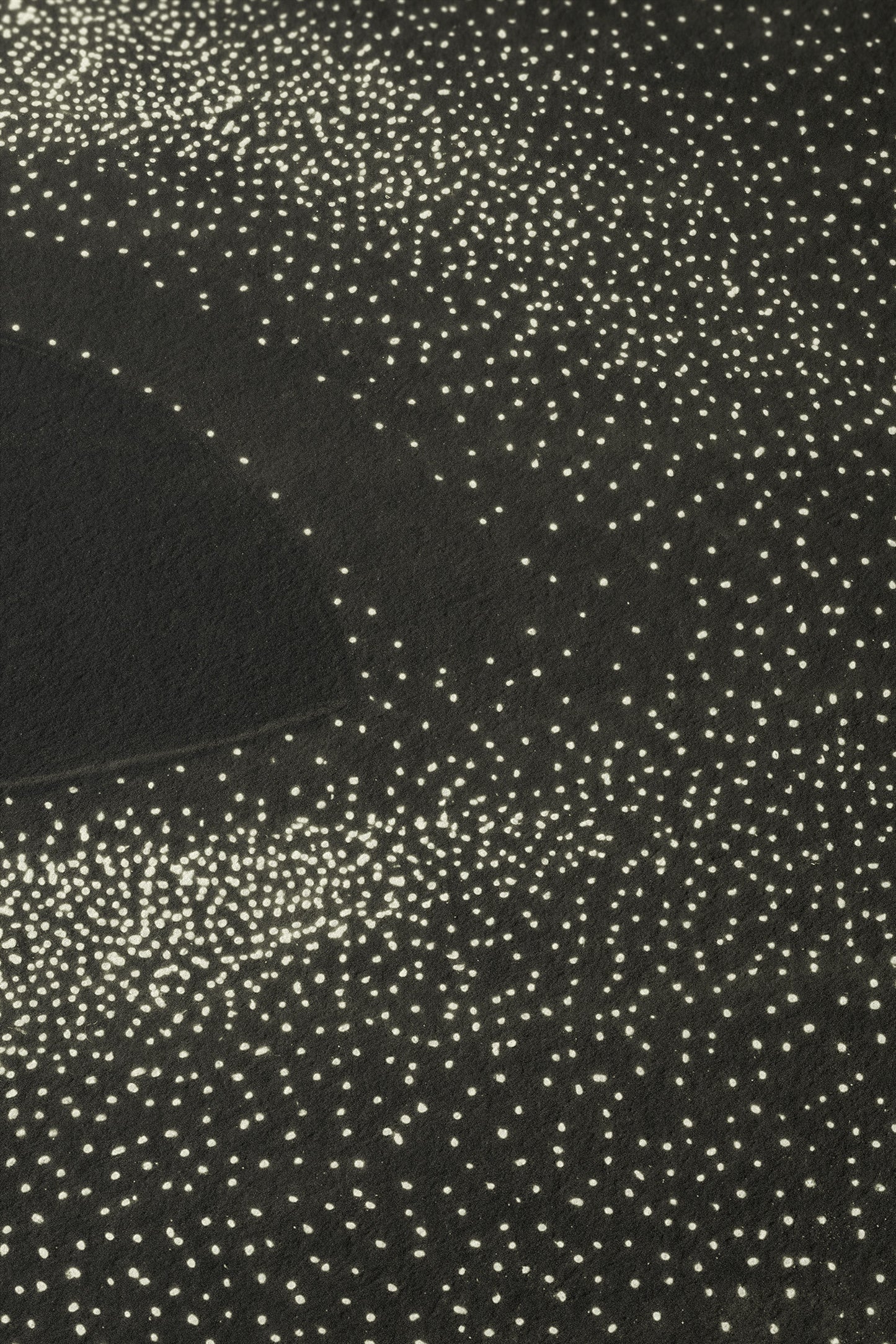 Black Hole, 1979
