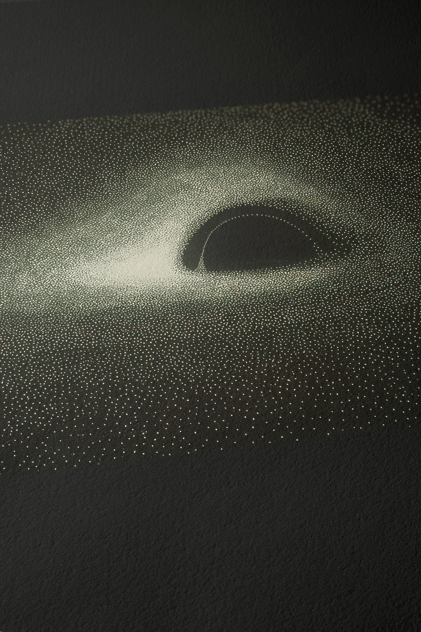 Black Hole, 1979