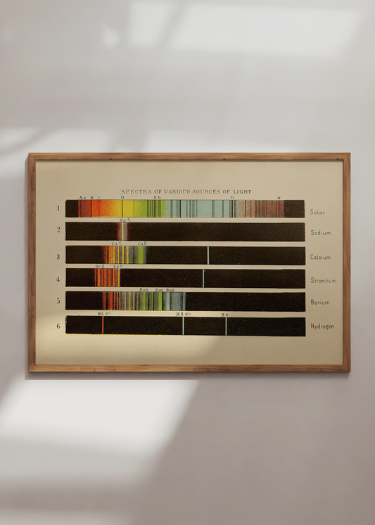 Spectra of Various Sources of Light, 1882