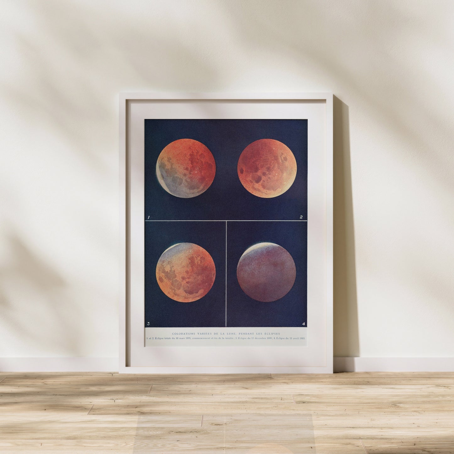 Various Colours of the Moon during Eclipses, 1882